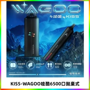 KIS5WAGOO哇酷6500口拋棄式 | 自由混搭雙口味 | 雙芯組合